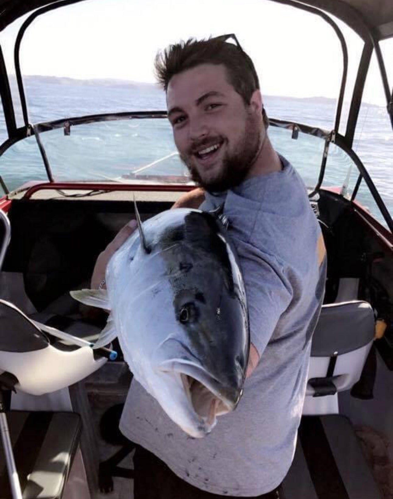 Collection of  in a gallery layout