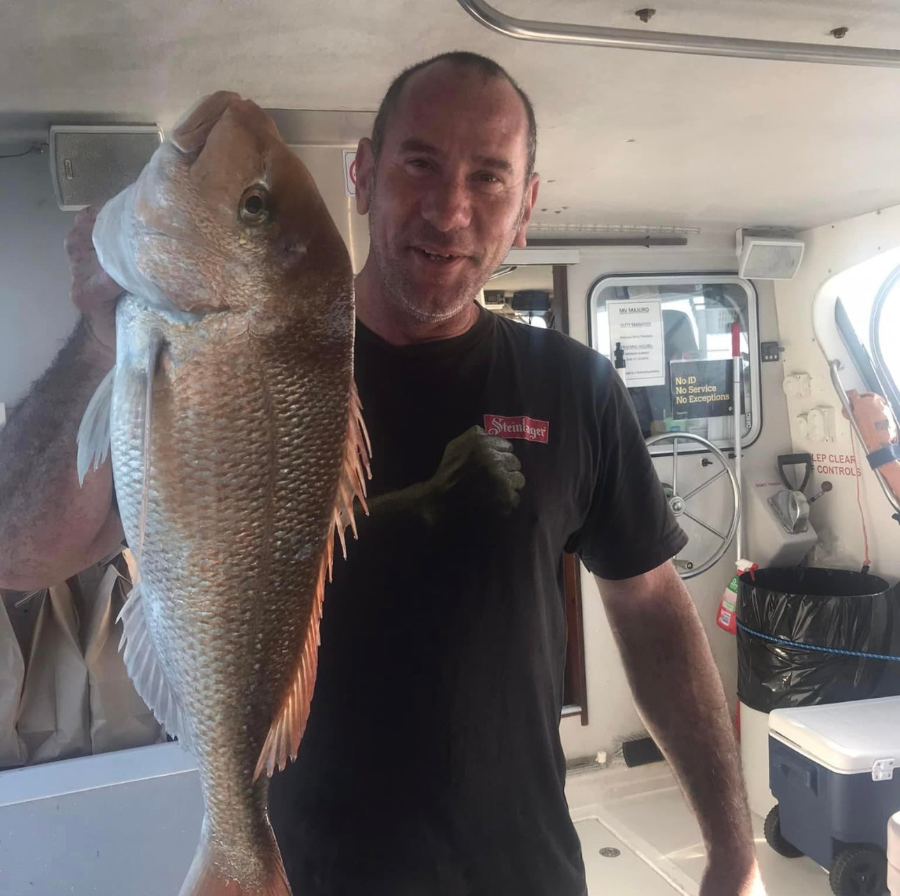 Collection of  in a gallery layout